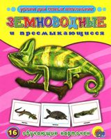 Земноводные и пресмыкающиеся - 16 обучающих карточек