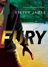 Fury (Blur Triology-Book 2) 