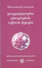 ყოველდღიური ცხოვრების ოქროს წესები
